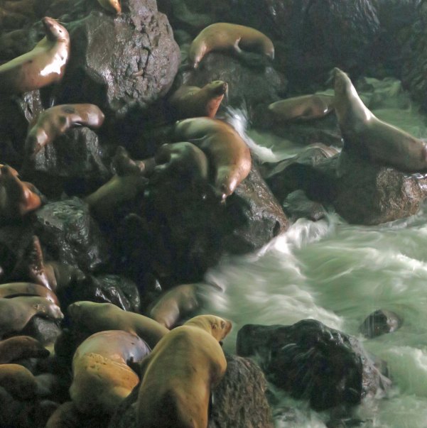 Seal Cave near Florence, Oregon