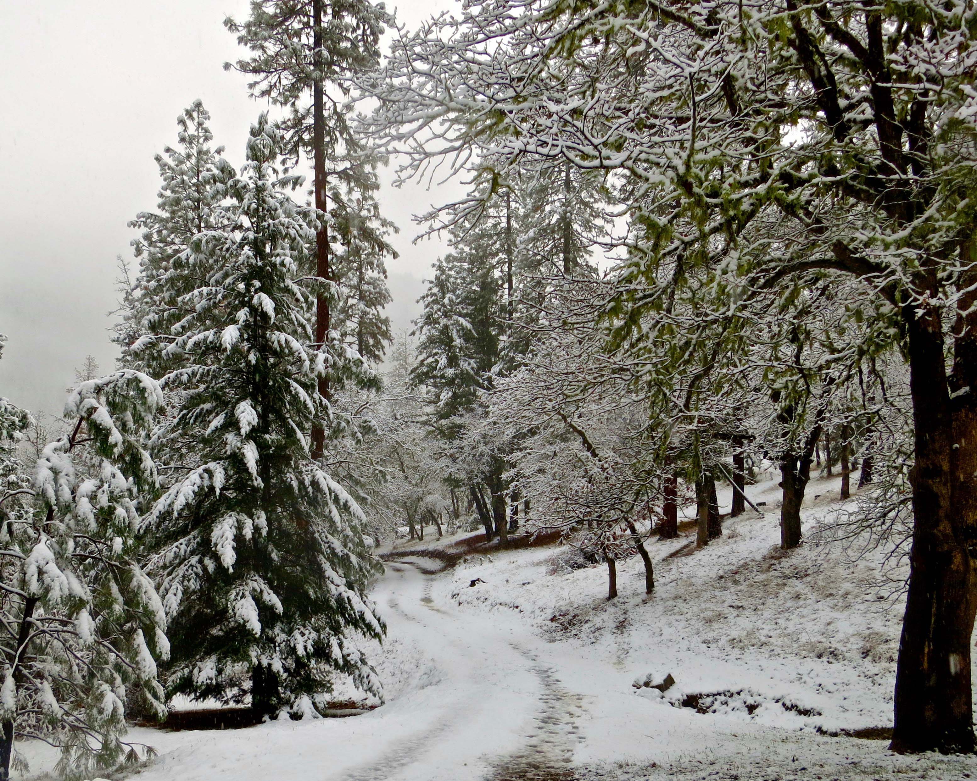 The road to the Mekemson home in winter