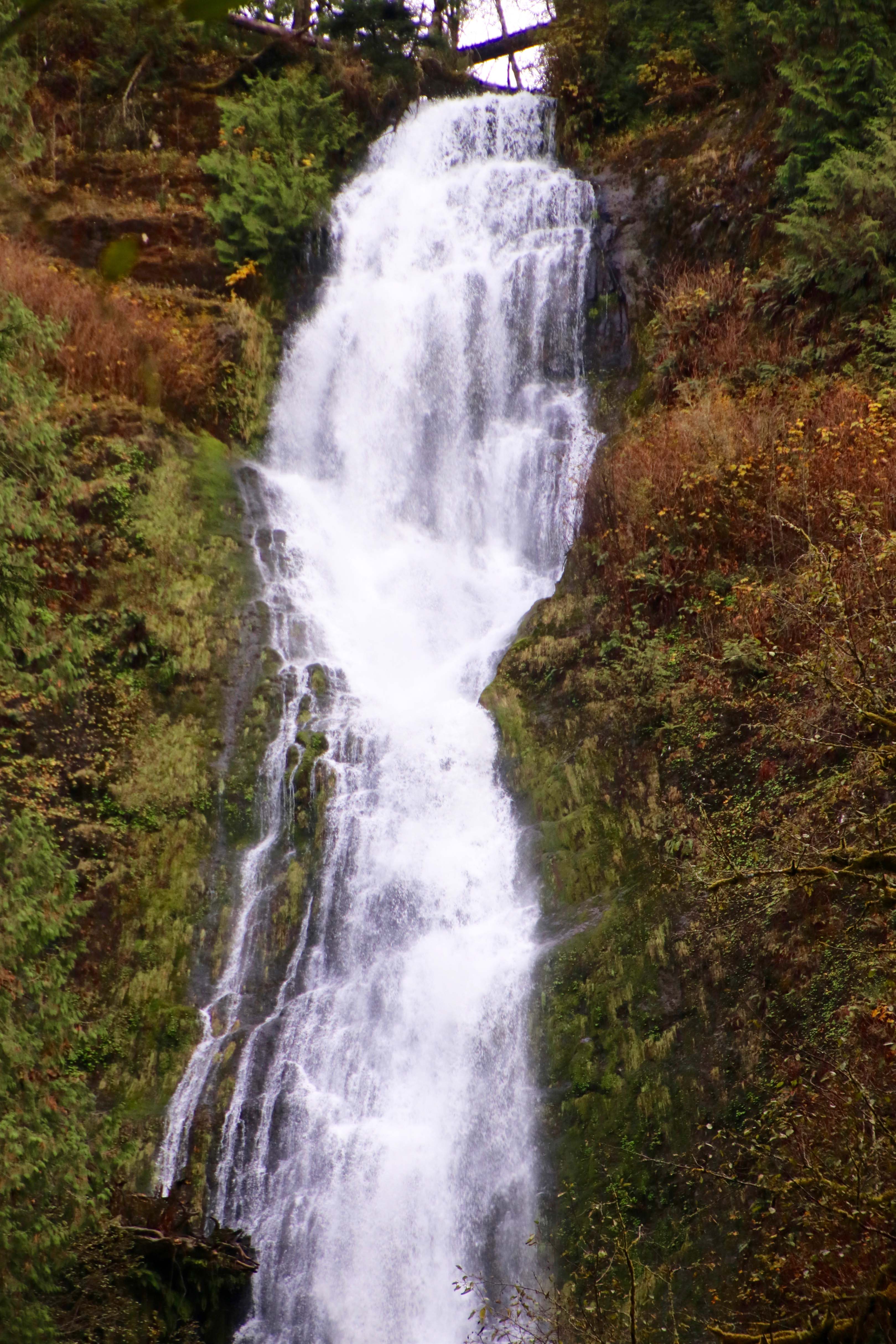 Photo by Peggy Mekemson of Munson Creek Falls near Tillamook, Oregon.