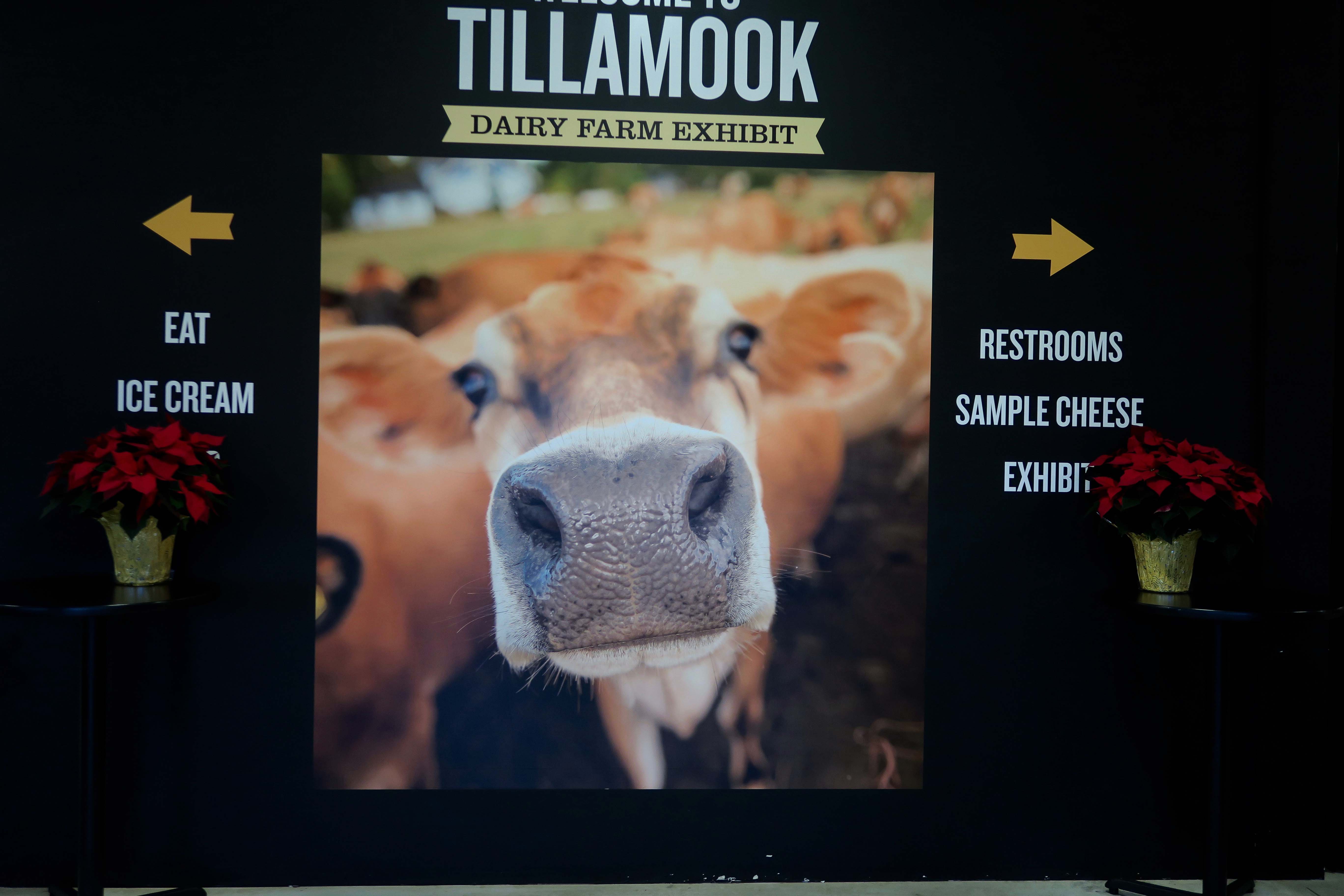 Welcome to Tillamook Cheese Factory