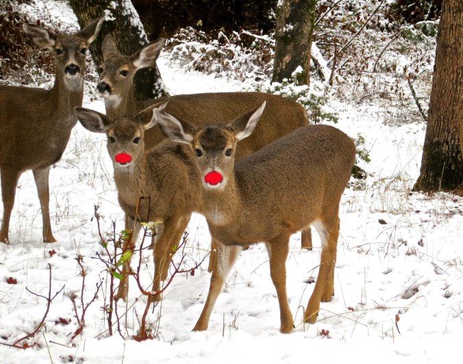 Rudolph's kids