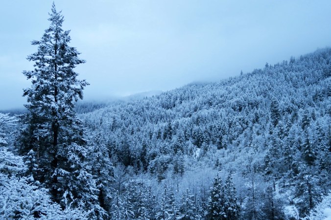 Mekemson property on Upper Applegate.