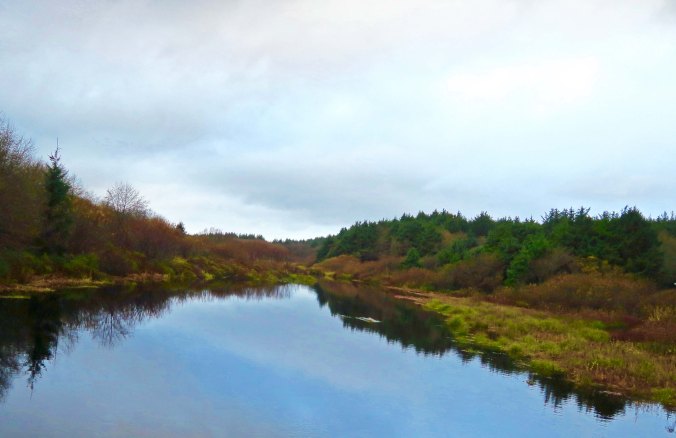 Connor Creek at Surfcrest Condominiums
