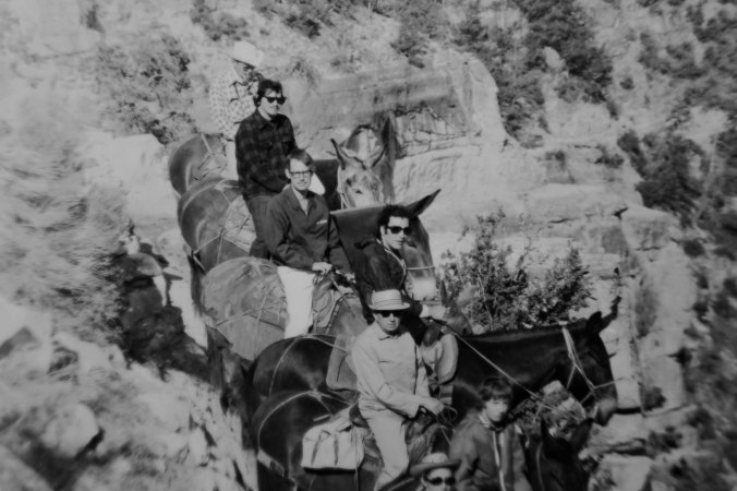 Mule trip into Grand Canyon