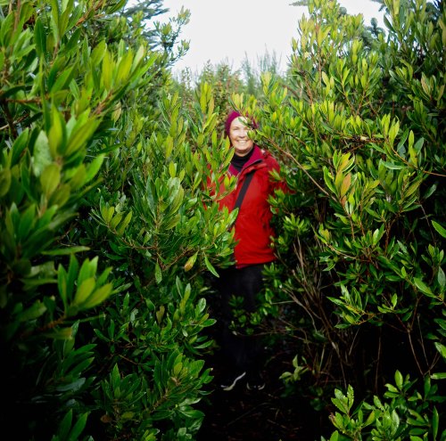 Peggy on disappearing trail in Griffiths-Pride State Park