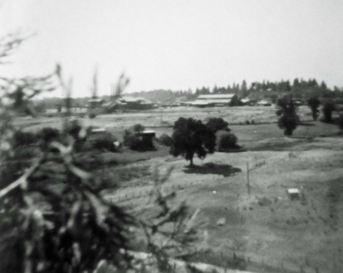 View of Caldor Lumber company circa 1958