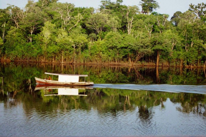 Covered boat on Rio Negro River in Amazon Rainforest