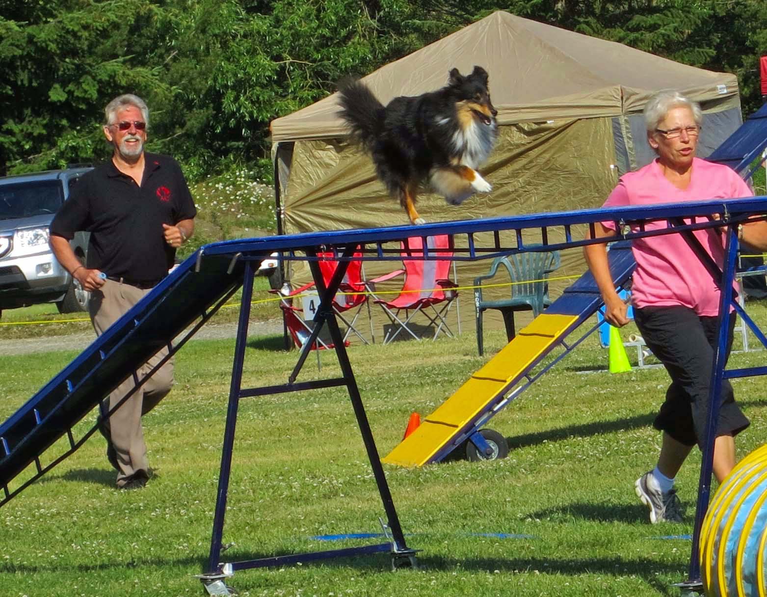 Dog agility trials, across bridge in Quesnel, BC