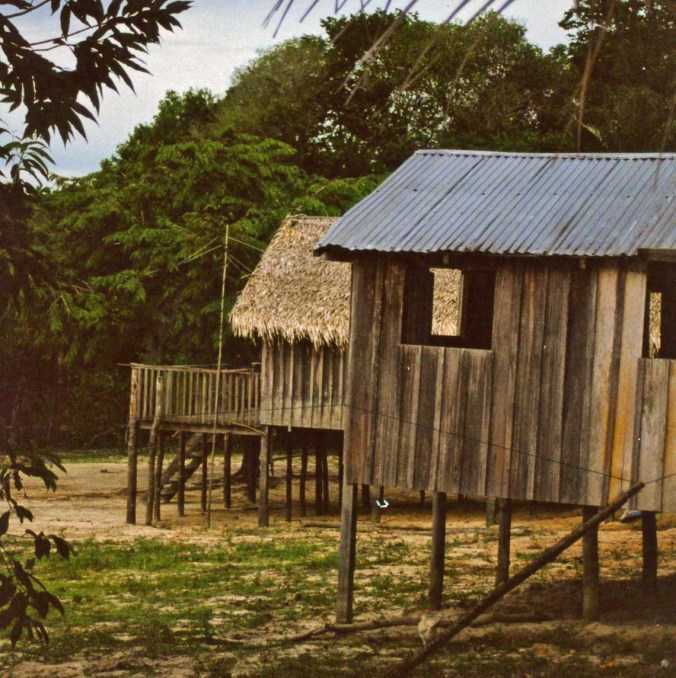 Homes along Amazon