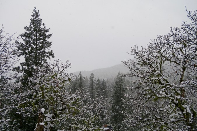 Fresh snow in the Upper Applegate Valley