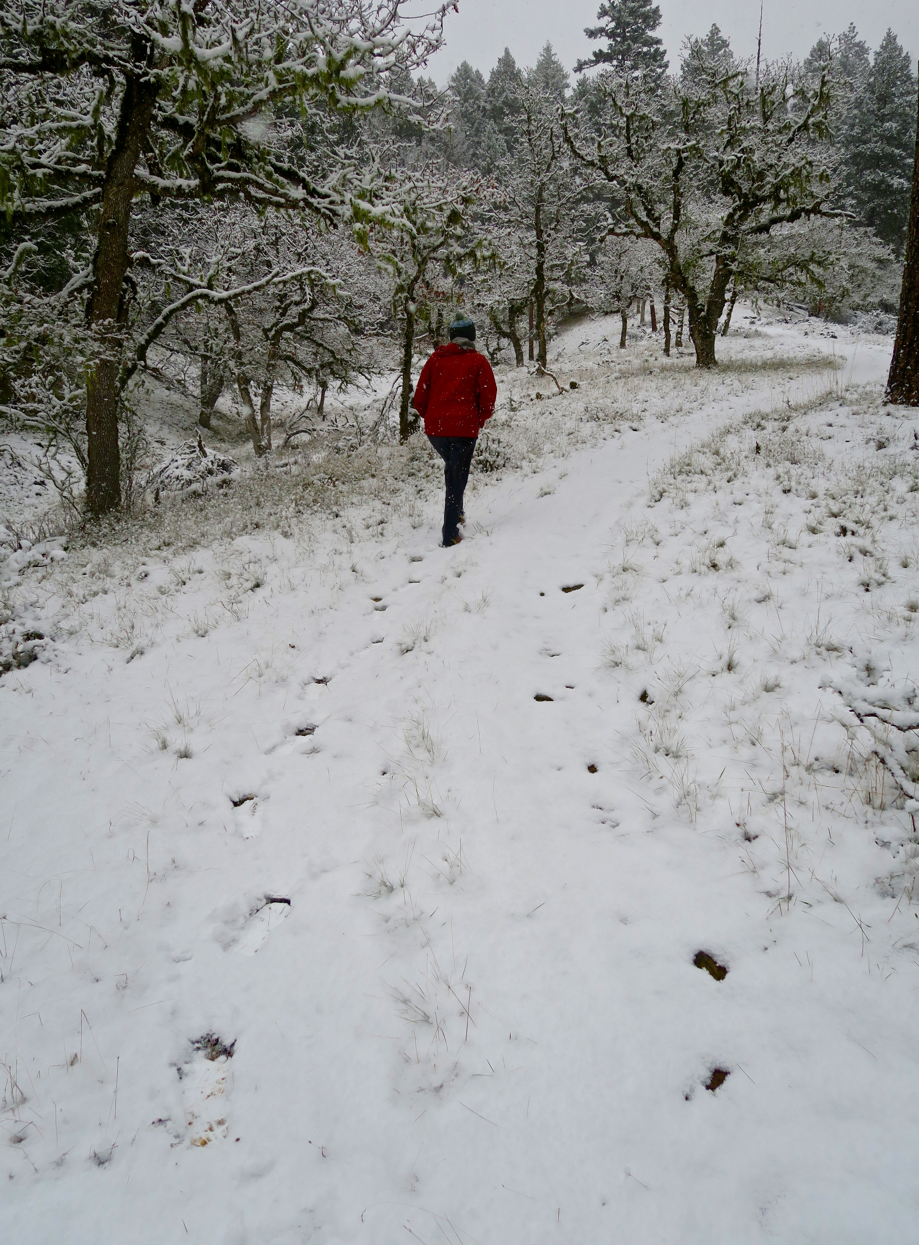 Rogue River National Forest