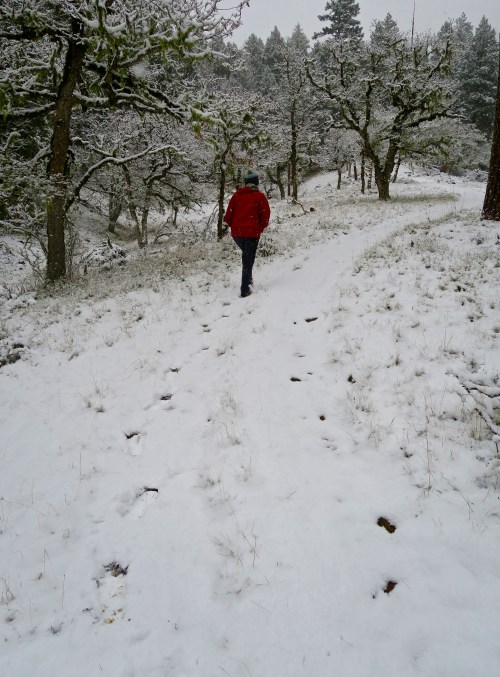 Rogue River National Forest