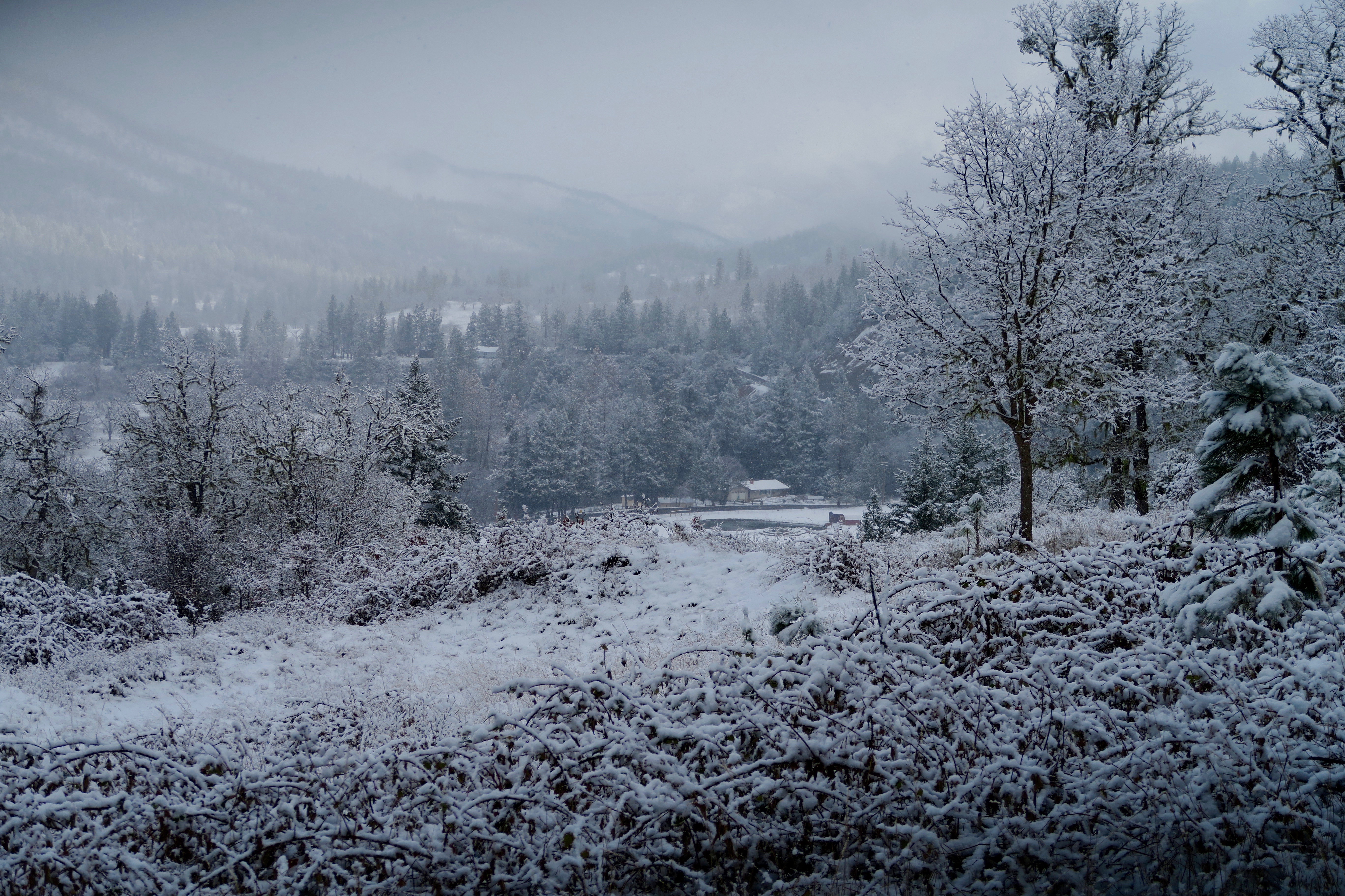 Sanctuary animal home covered in snow, Upper Applegate Valley Southern Oregon