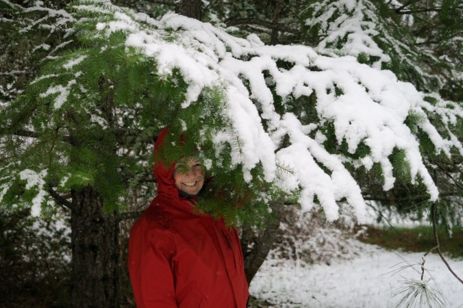 Peggy Mekemson under snow covered Douglas fir limb