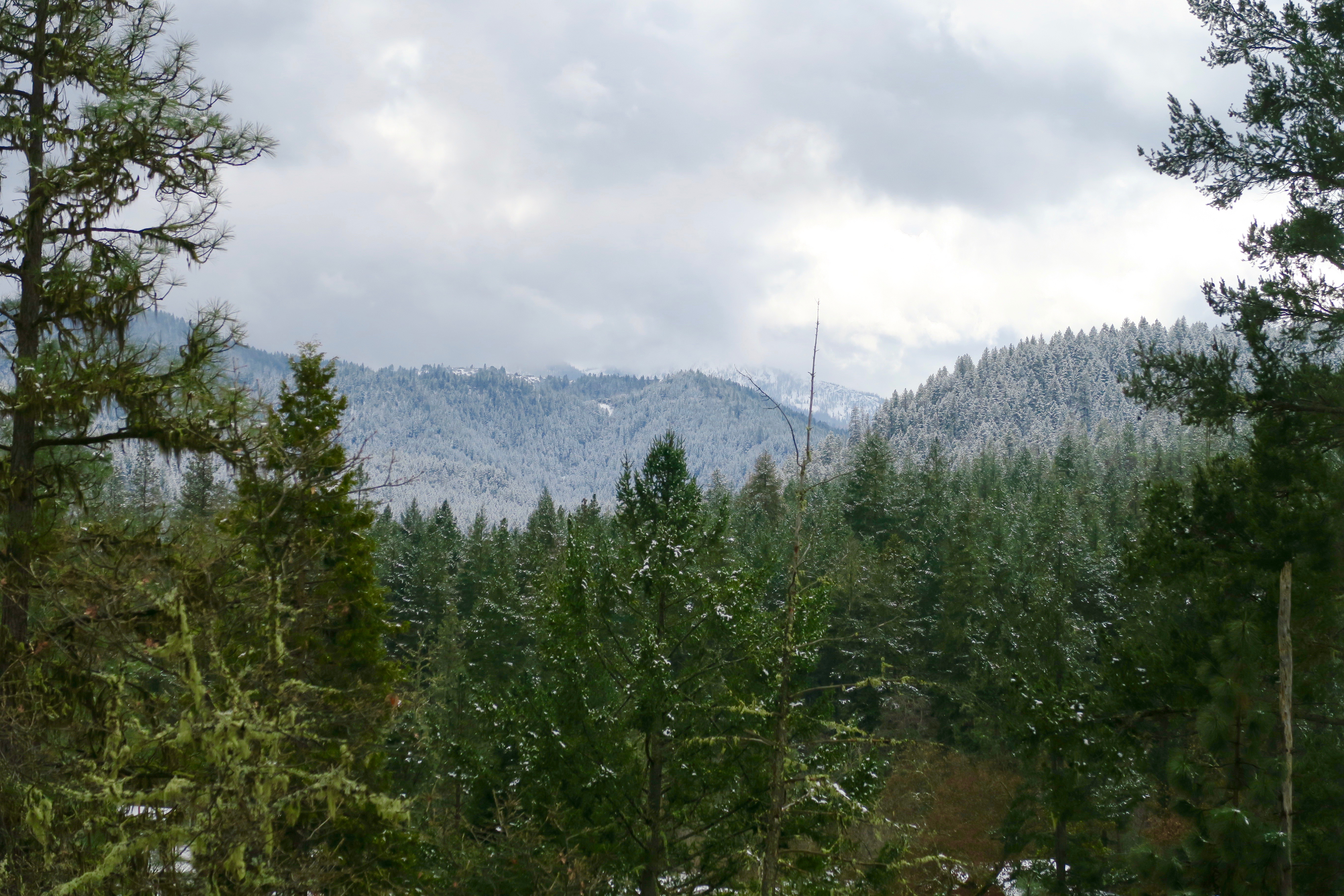 Upper Applegate River area