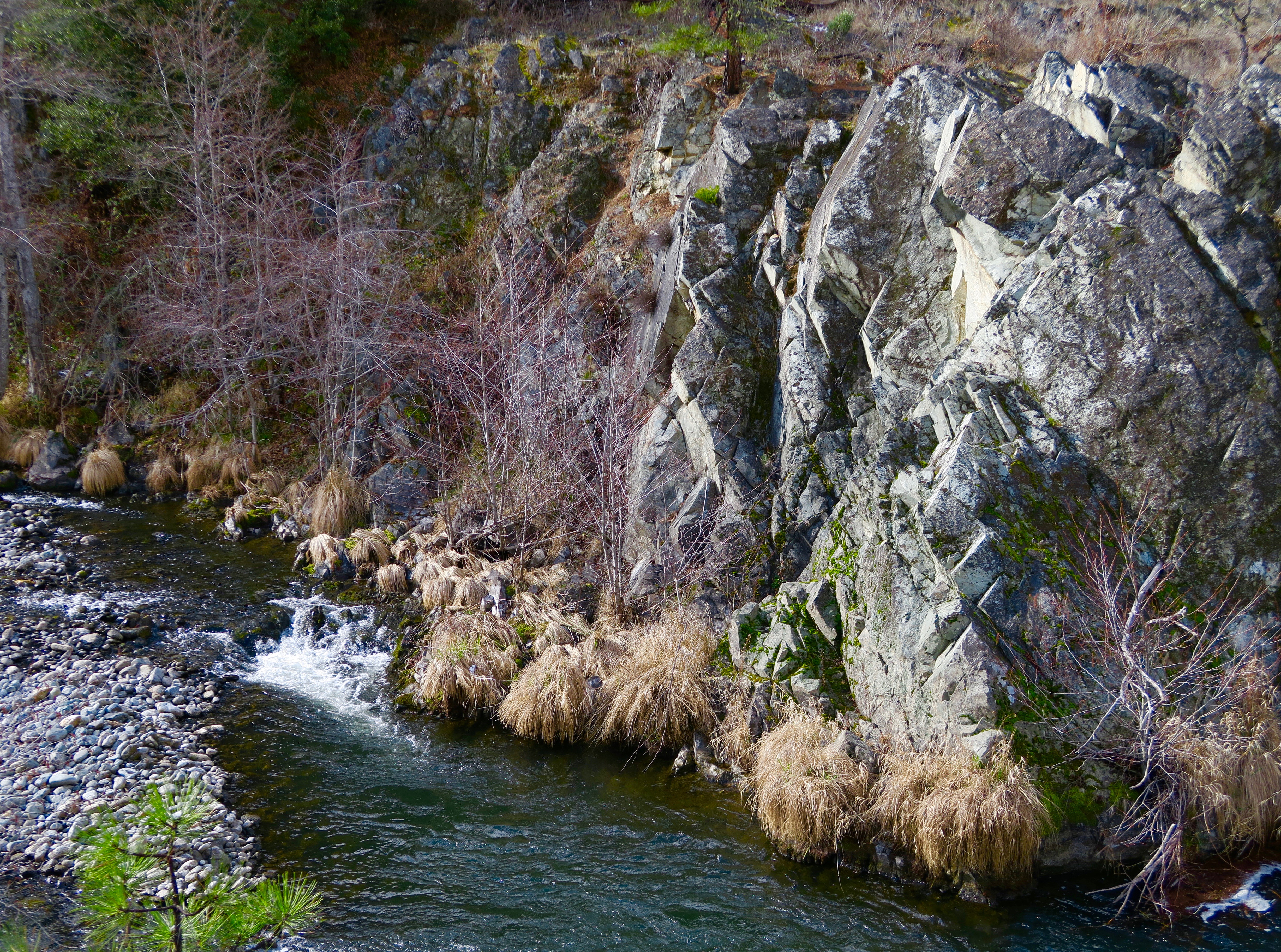 Applegate River in February