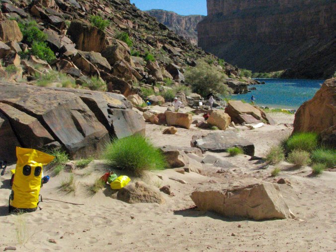 Jackass campsite on Colorado River by Don Green
