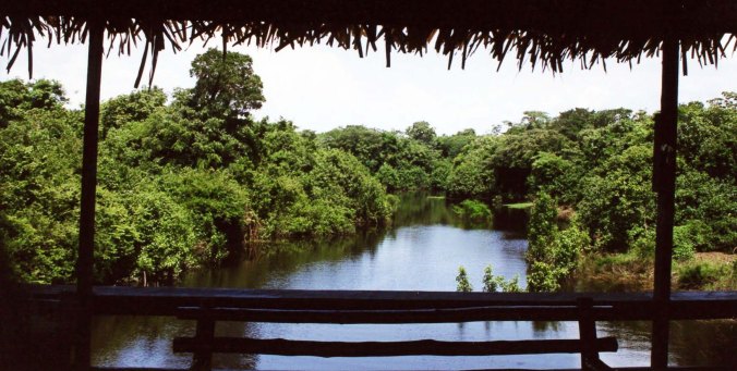 View from Ariau Lodge walkway