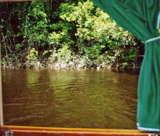 View out window of river boat on the Amazon