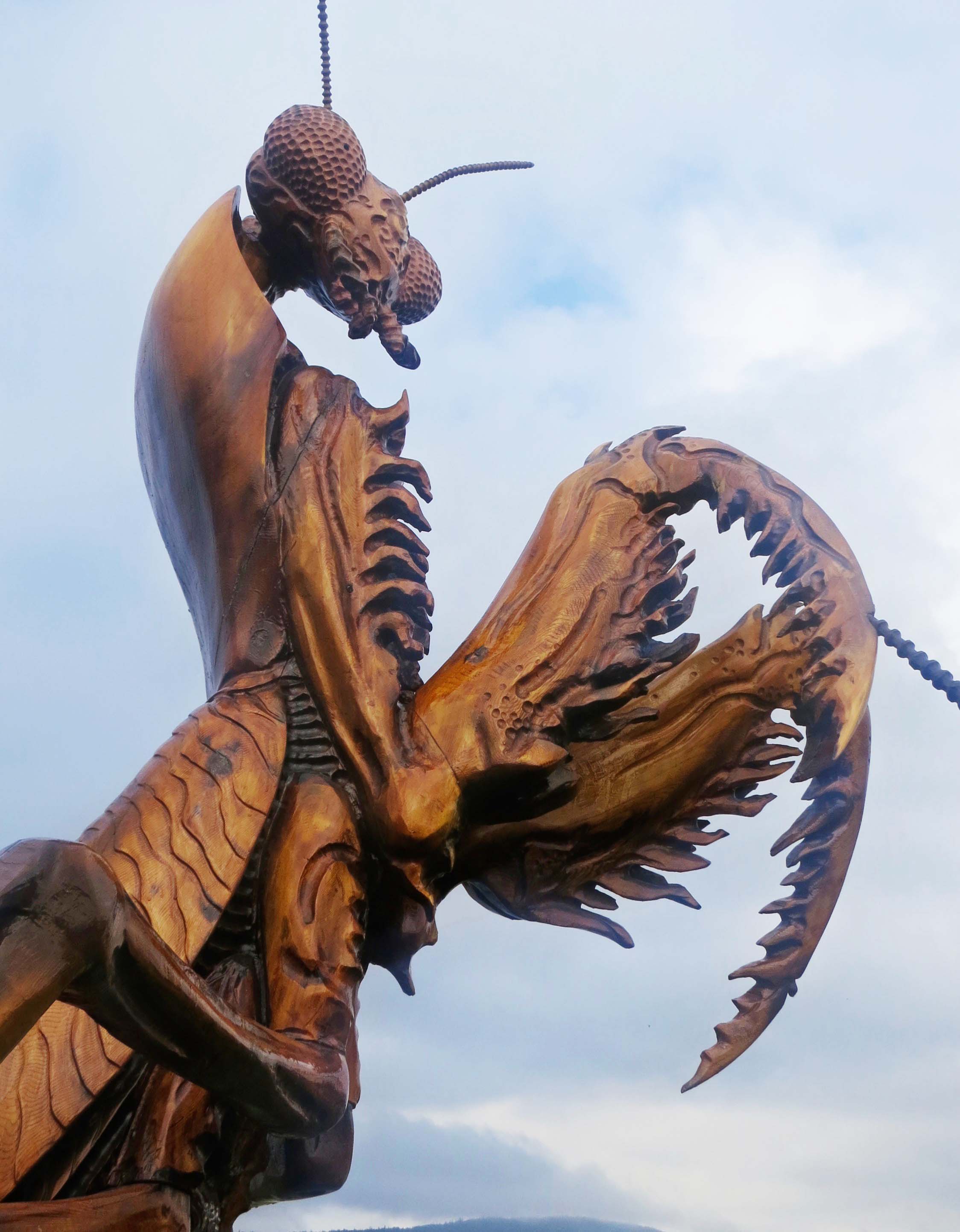 Wood carving of Praying Mantis at Chetwyn, BC
