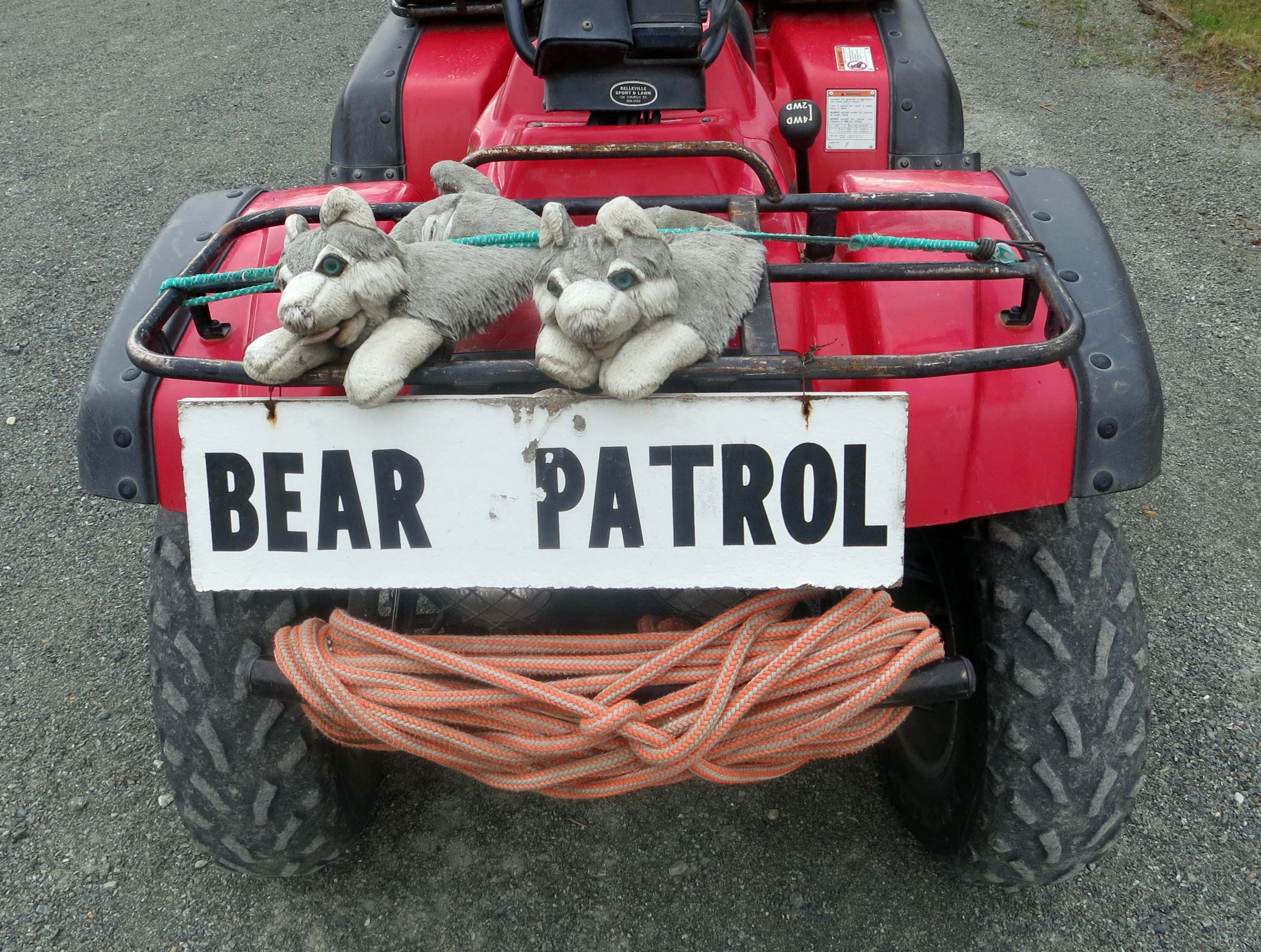 Bear patrol