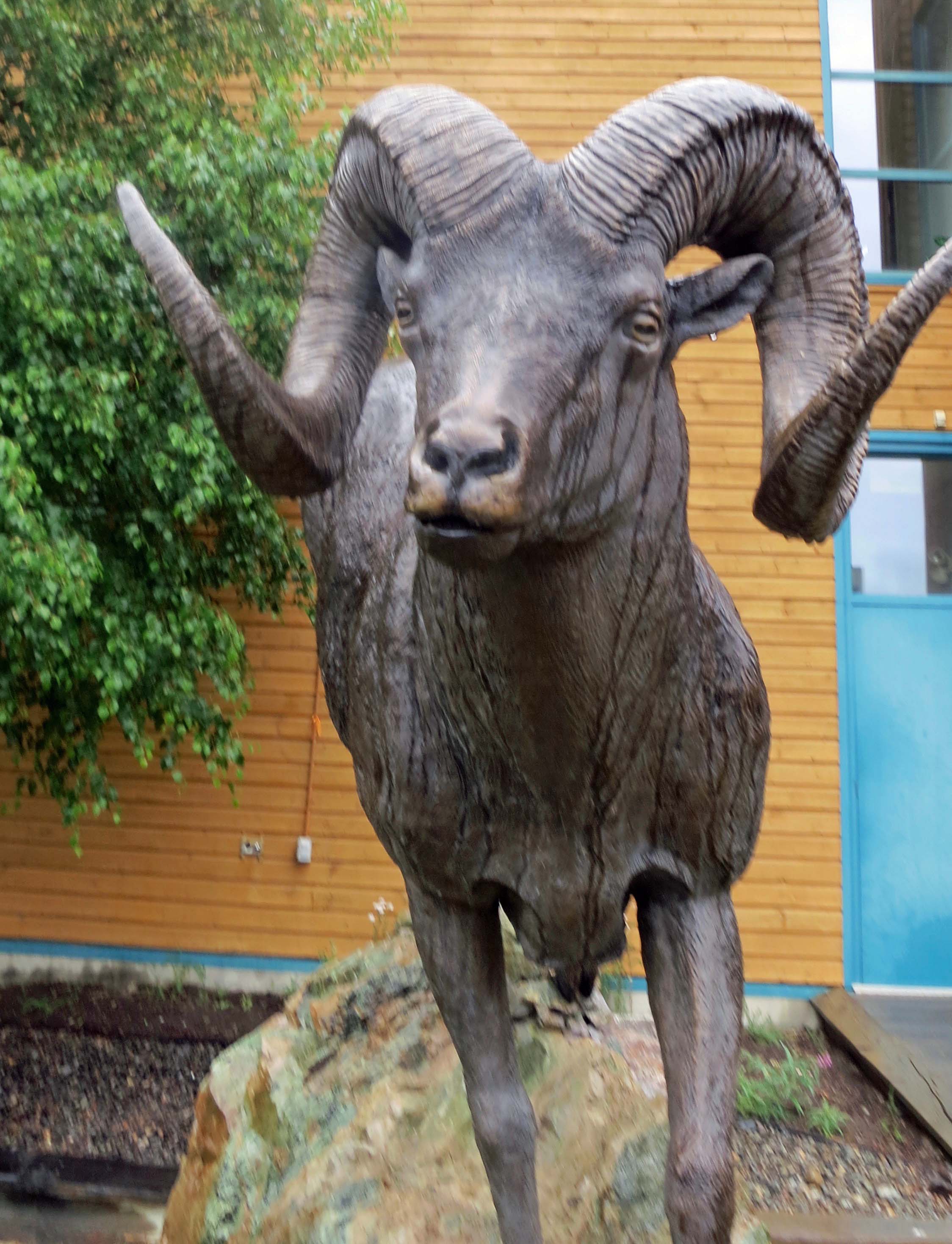 Dall sheep sculpture, White Horse