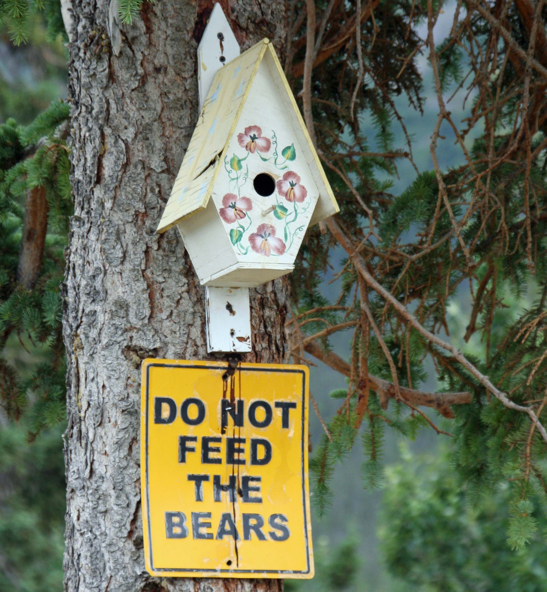 Do not feed bears, YT