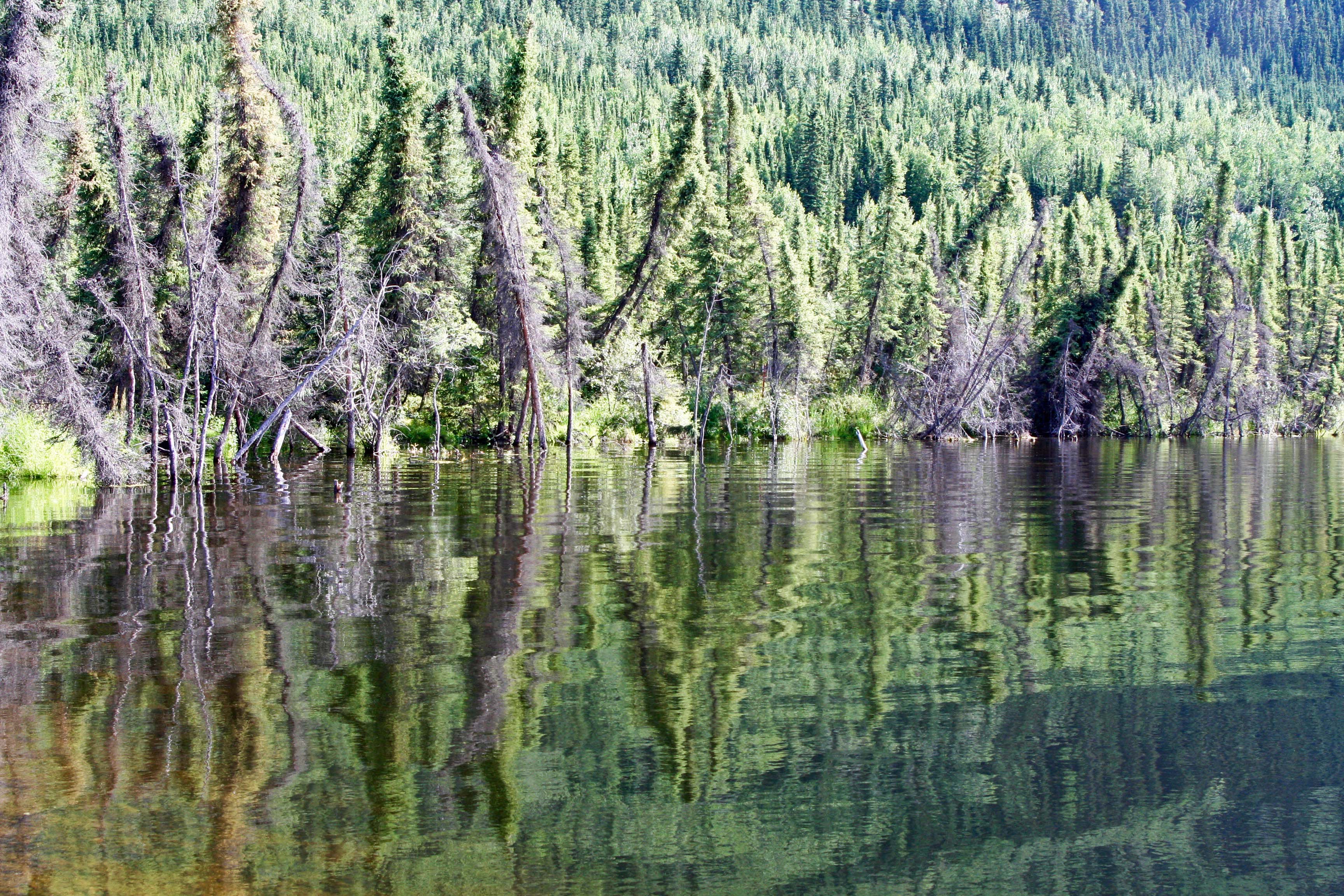 Reflection shot Yukon Territory