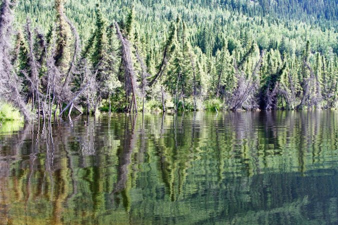 Reflection shot Yukon Territory