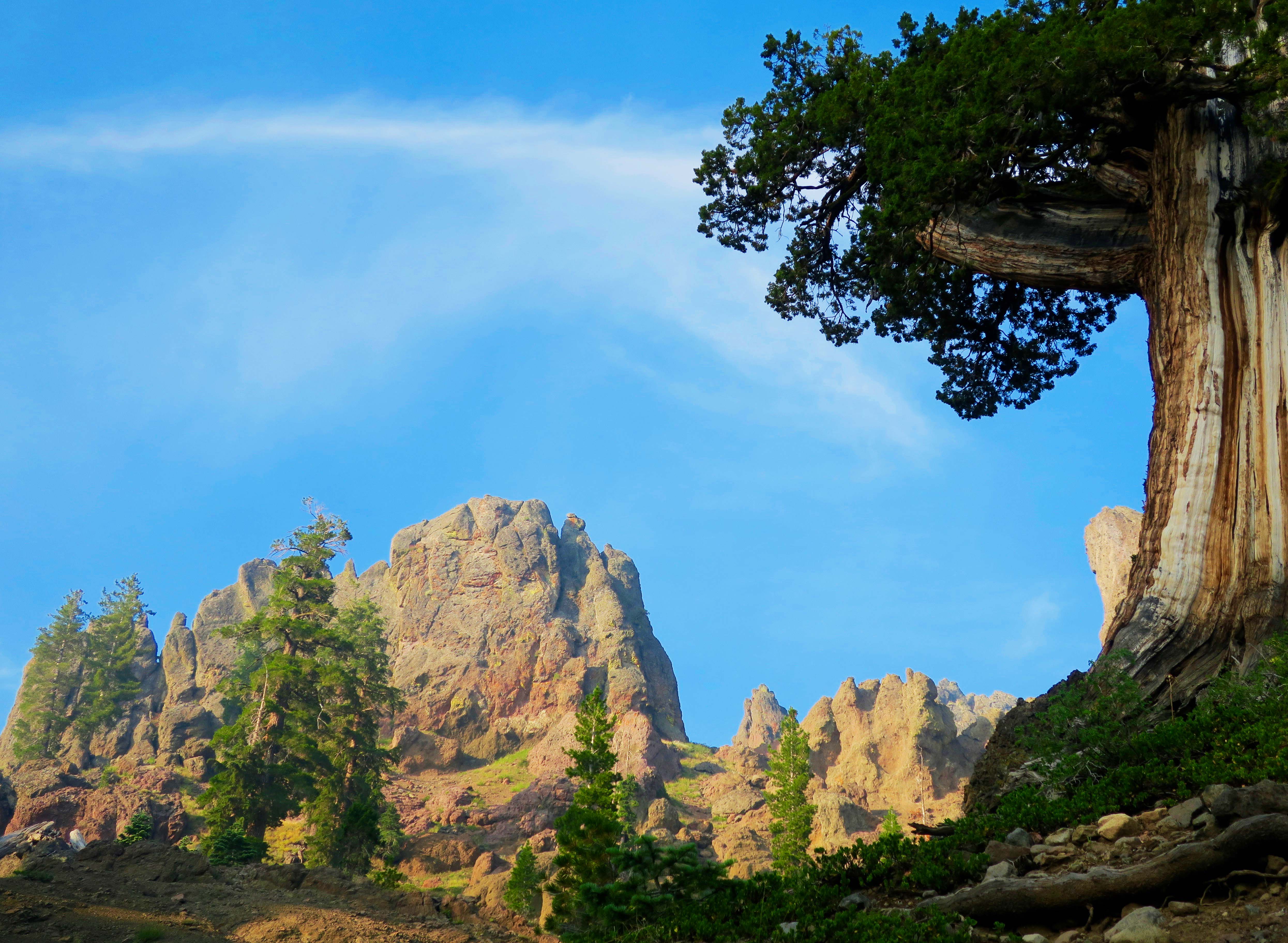 Stunning Rocks and Gorgeous Junipers… The PCT through the Mokelumne ...