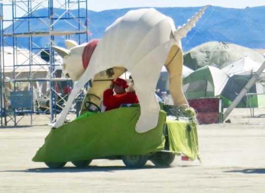 Dog mutant vehicle at Burning Man.