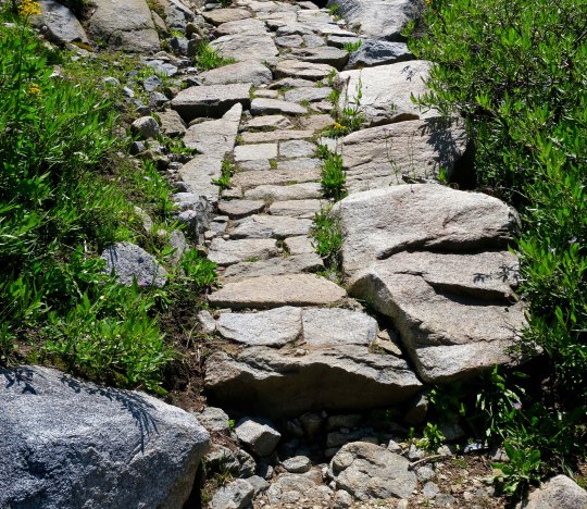 PCT trail work in the Carson Iceberg Wilderness.