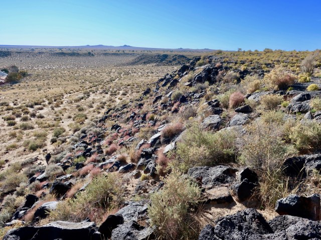 Backyard Rock Art… Petroglyph National Monument, Albuquerque N.M.