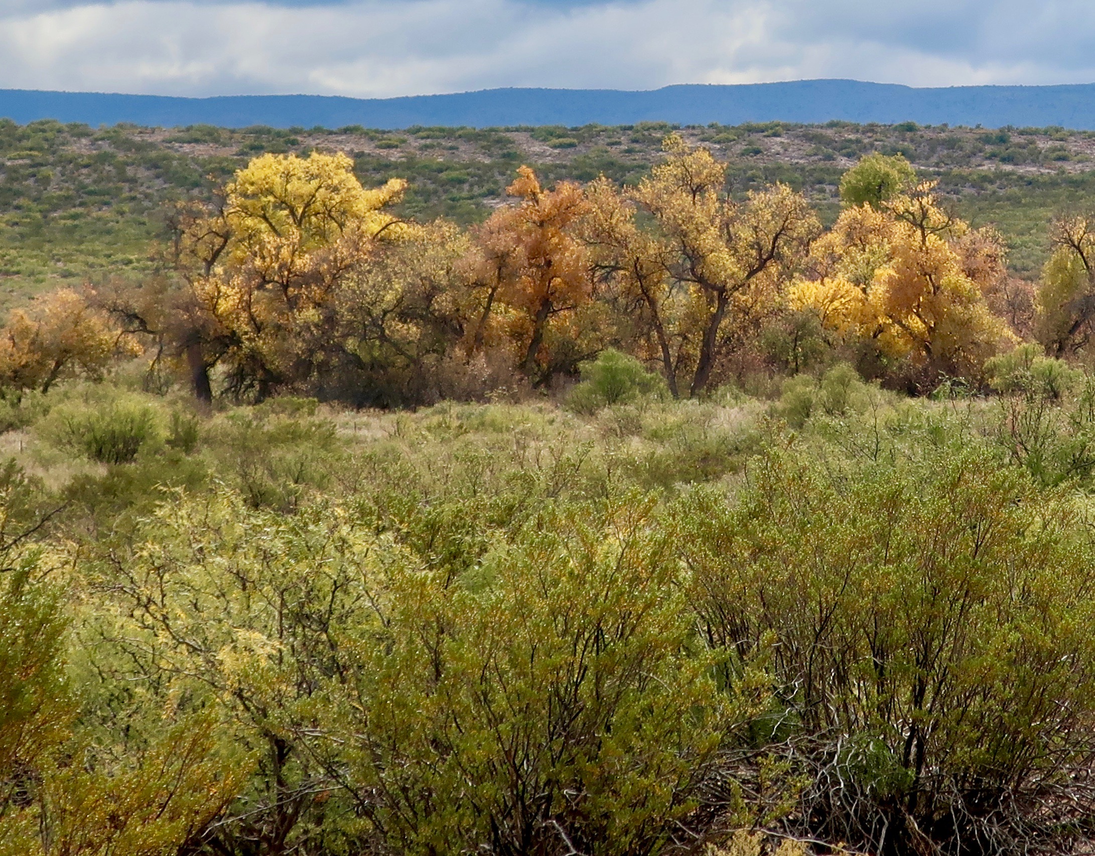 Three Rivers Geoscape Beauty and Mystery… The Three Rivers’ Petroglyph Site | Wandering ...