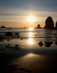 Oregon s Harris Beach State Park It s A Wrap Wandering Through Time 