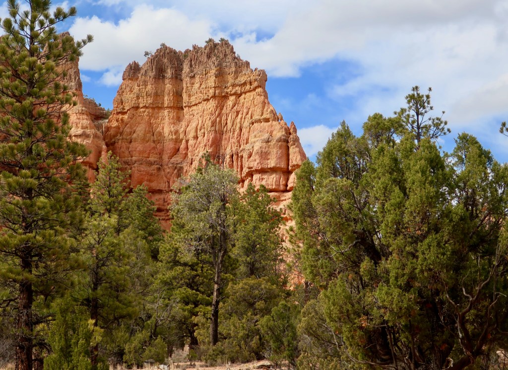 Photo of impressive rock formation in Red Canyon State Park, Utah by Curt Mekemson.