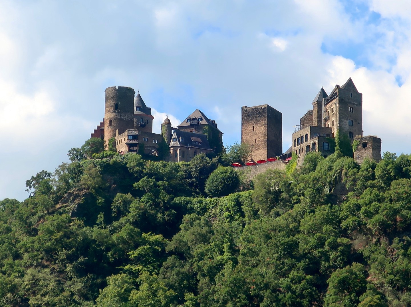 Rhine Rive Castles 12 Magnificent Castles along the Rhine River Valley | Wandering through ...