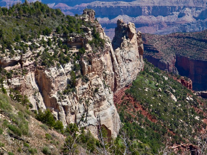 Photos of Roosevelt's Point by Curt and Peggy Mekemson.