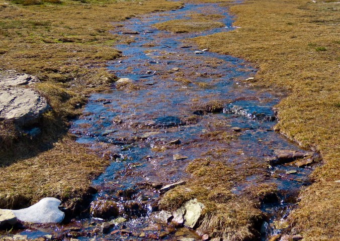 Photos of Glacier national Park taken by Curt and Peggy Mekemson